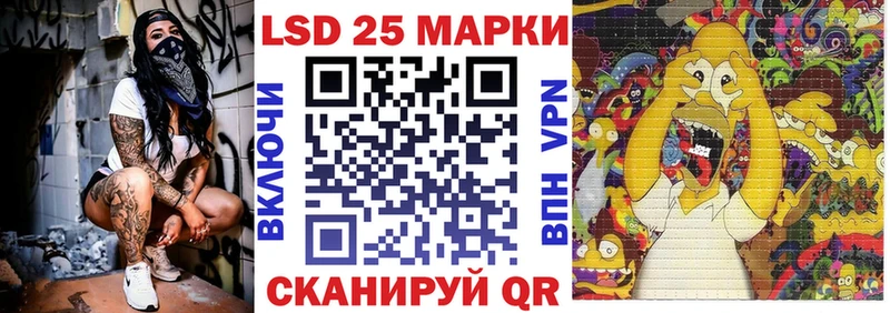 Марки N-bome 1,8мг  где продают наркотики  Западная Двина 